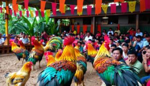 Situs Sabung Ayam Terpercaya